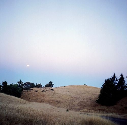 Mountain landscape at dusk, film grain and vignette, full moon, dry grassy hills and dark conifers